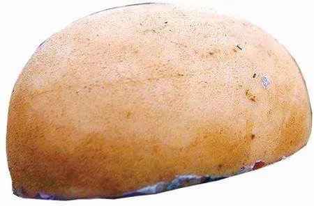 “太岁”究竟是什么神秘“太岁”的真面目