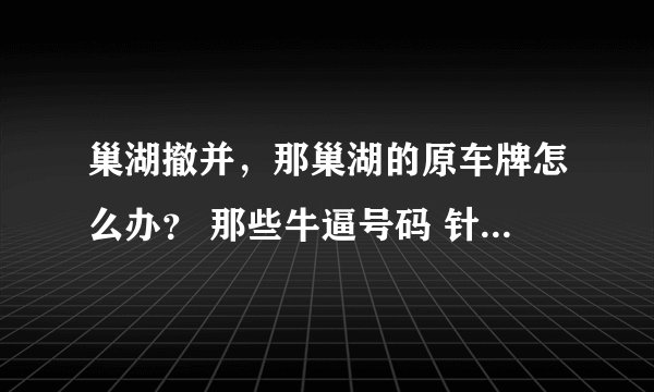 巢湖撤并，那巢湖的原车牌怎么办？ 那些牛逼号码 针可惜了 ~ 是吗啊？