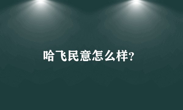 哈飞民意怎么样？