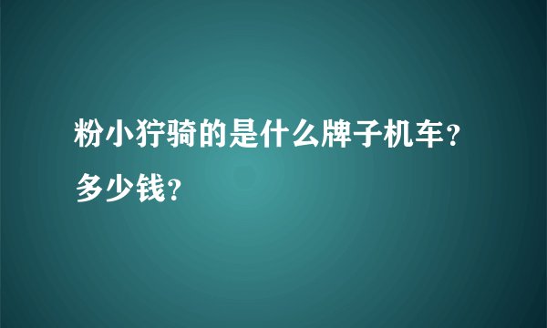 粉小狞骑的是什么牌子机车？多少钱？