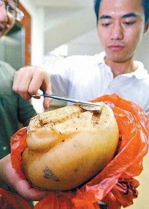 “太岁”究竟是什么神秘“太岁”的真面目