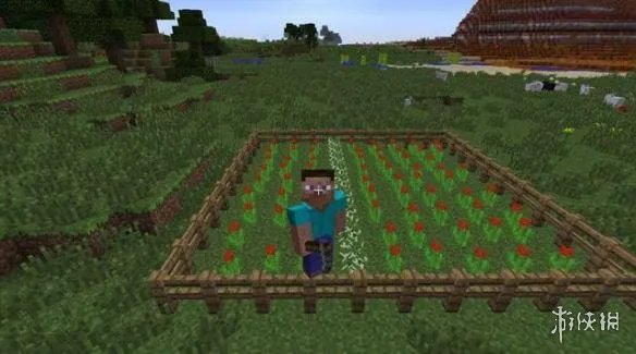 《我的世界》中有为青年 普通青年和文艺青年的区别