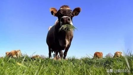 大连失火的地标留下黑色伤疤1800多人有家难归