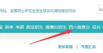 忘记准考证号怎么查询46级成绩