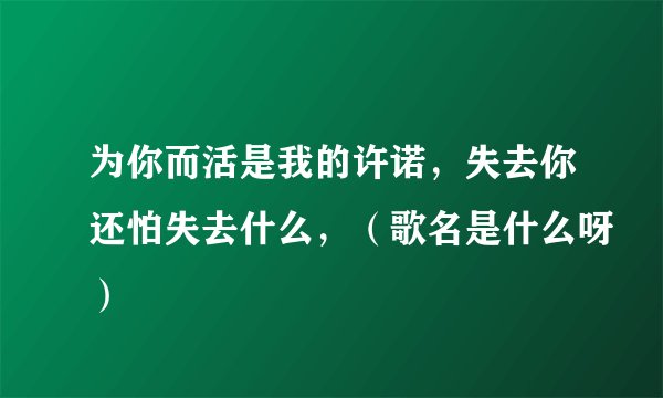 为你而活是我的许诺，失去你还怕失去什么，（歌名是什么呀）