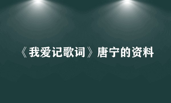 《我爱记歌词》唐宁的资料