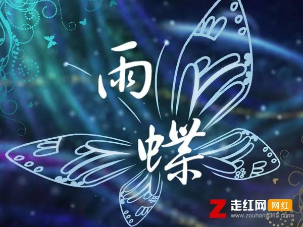 爱到心破碎也别去怪谁是什么歌，雨蝶歌曲介绍