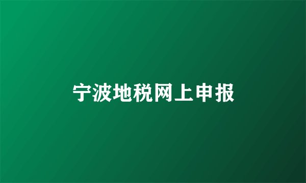 宁波地税网上申报