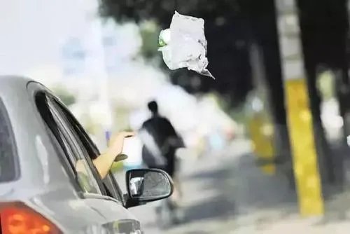 孩子车窗抛物父亲立即下车捡回，如何评价父亲的做法呢？