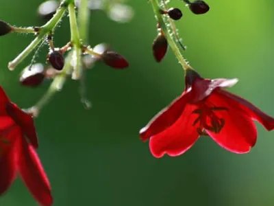 简短祝福语八个字