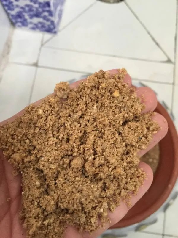 海沙和河沙的区别