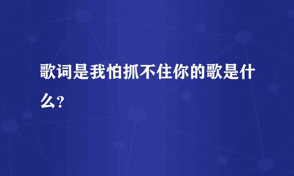 歌词是我怕抓不住你的歌是什么？