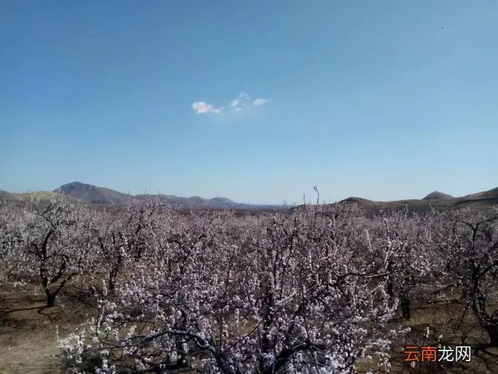 2021年的四季 2021年第一场雪的句子