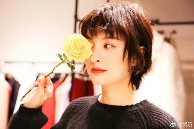 怎么评价吴昕？