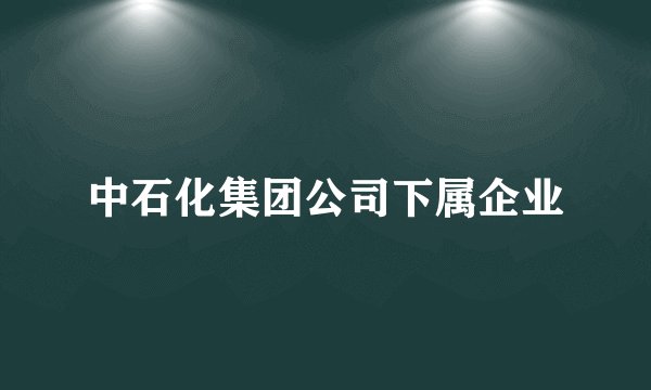 中石化集团公司下属企业