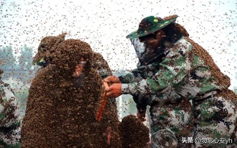 十大奇葩吉尼斯世界纪录，个个奇葩无比，最后一个更是匪夷所思 