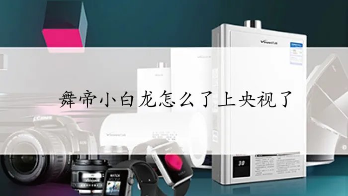 舞帝小白龙怎么了上央视了