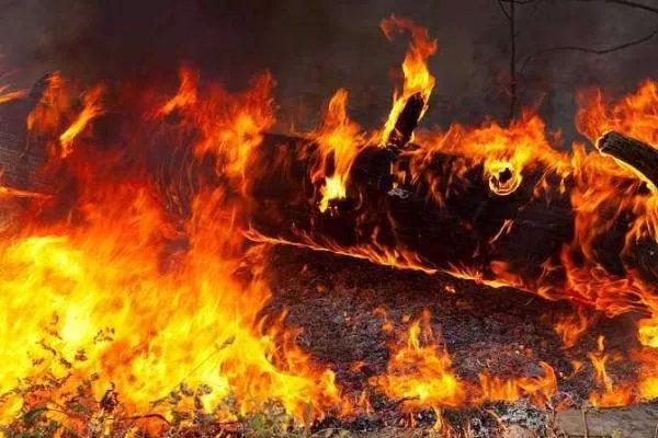 烧纸竟然引发了森林火灾,为何明令禁止后还有人烧纸?