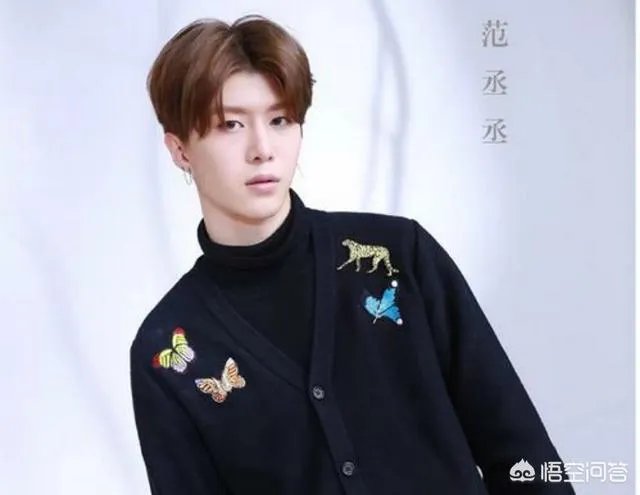 范丞丞流泪埋怨自己没有实力，靠姐姐范冰冰，你怎么认为？