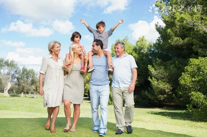 栾树蚜虫病的防治方法