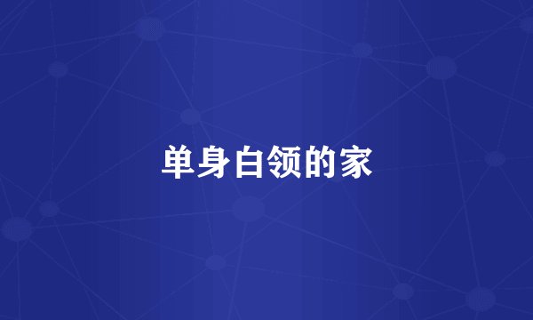 单身白领的家
