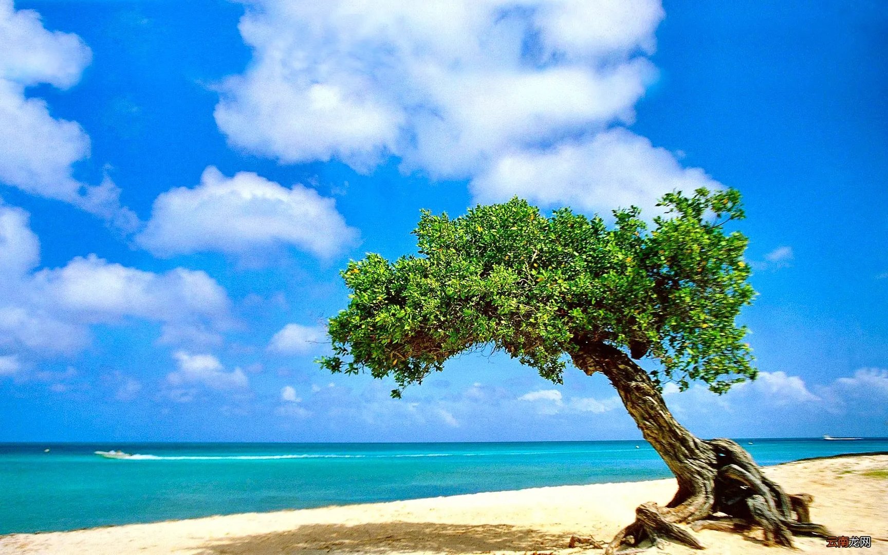 tc500对讲机使用方法 tc500对讲机怎么样