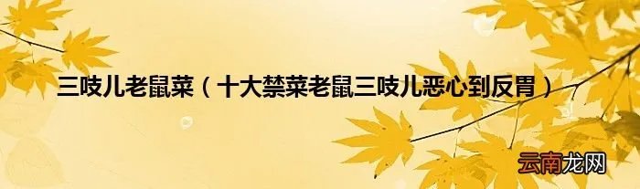 十大禁菜老鼠三吱儿恶心到反胃 三吱儿老鼠菜