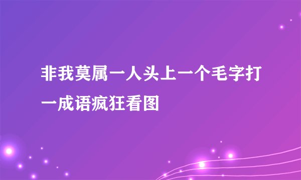 非我莫属一人头上一个毛字打一成语疯狂看图