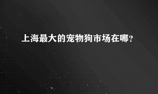 上海最大的宠物狗市场在哪？