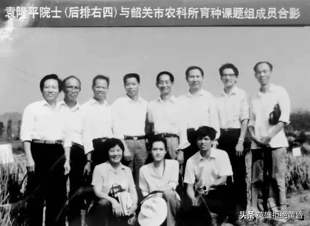 我们现在吃的大米，是袁隆平教授研发的杂交水稻吗？