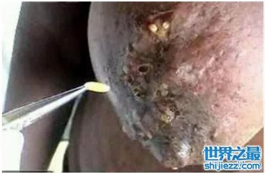 恶心的蓬蓬乳和空空指竟然都是假的，人为ps出来的 