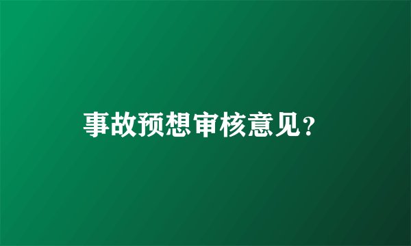 事故预想审核意见？