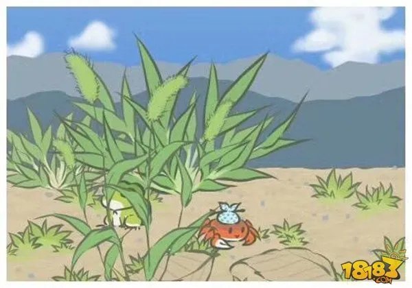 旅行青蛙图片明信片汇总 旅行青蛙相册大全