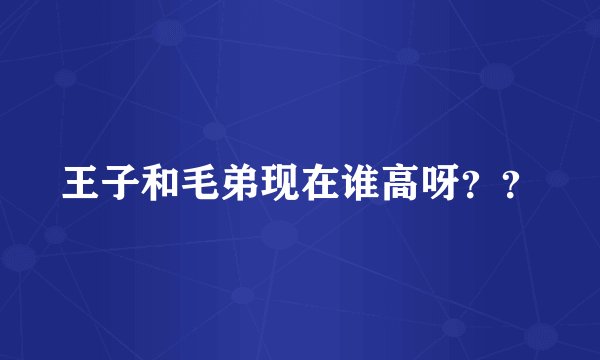 王子和毛弟现在谁高呀？？