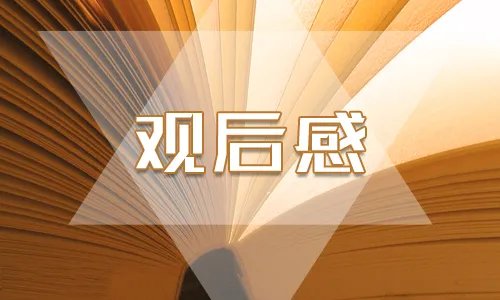 最新《完美关系》大结局观后感评价5篇精选