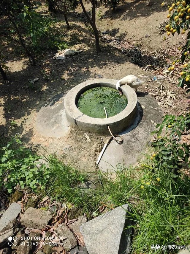 农村沼气池的建造和使用情况怎么样？