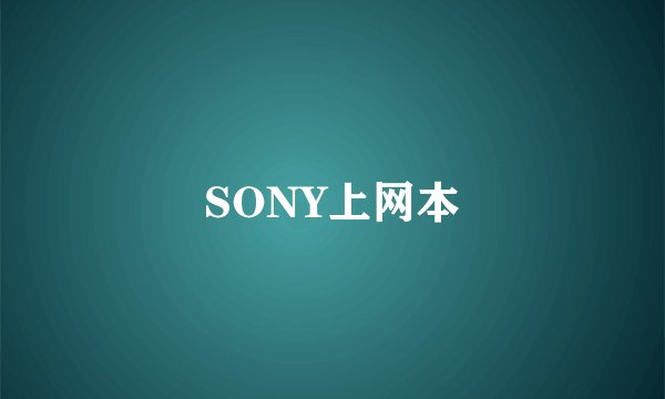 SONY上网本