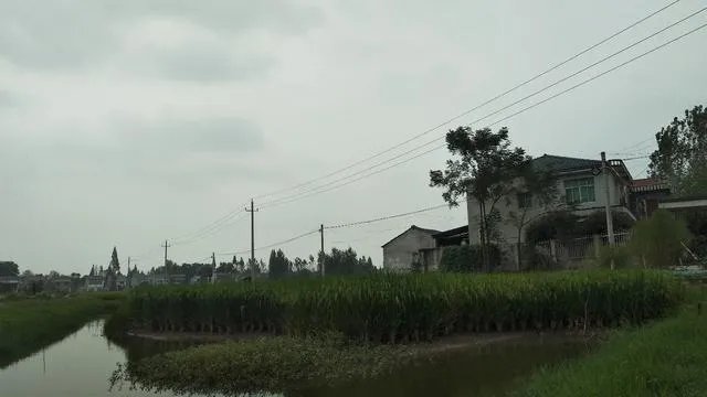 农村自建房三层真实图