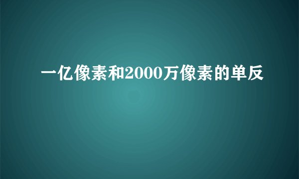 一亿像素和2000万像素的单反