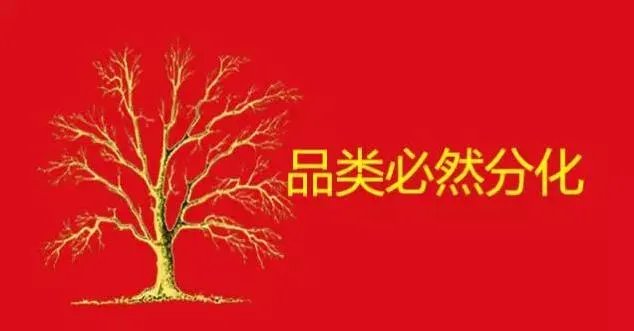 垂直电商网站，你会去购物吗？