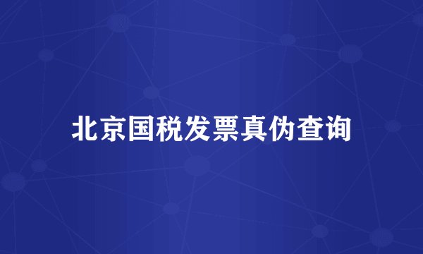 北京国税发票真伪查询