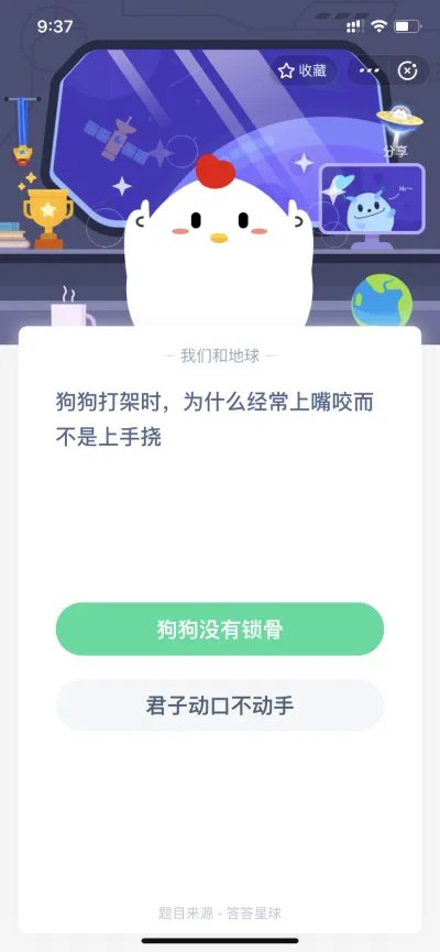 狗狗打架时，为什么经常上嘴咬而不是上手挠