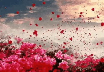 如果要忘记她的错，应该怎么做？