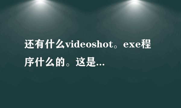 还有什么videoshot。exe程序什么的。这是什么东西？