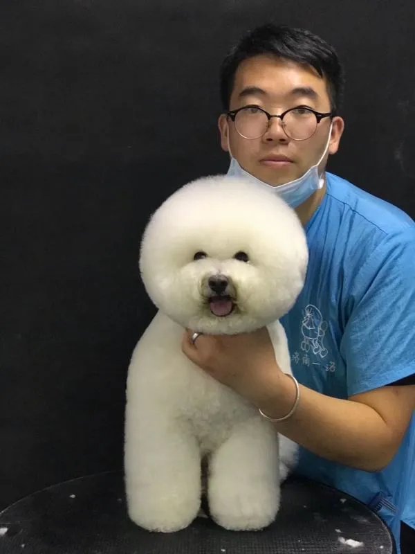 江苏哪家宠物美容学校好