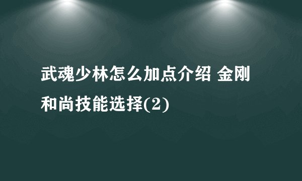 武魂少林怎么加点介绍 金刚和尚技能选择(2)