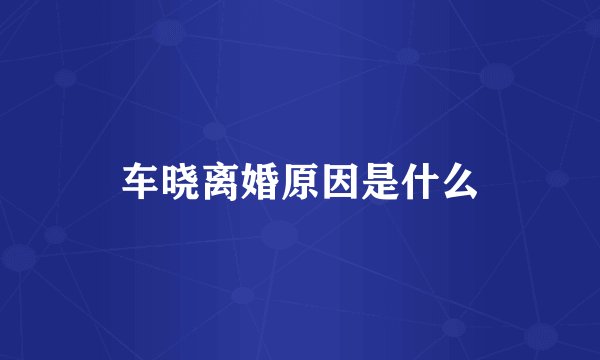 车晓离婚原因是什么