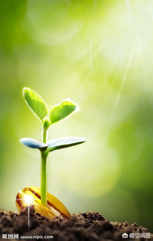 面对那些不想做却必须做的事情，你是如何坚持下来的？