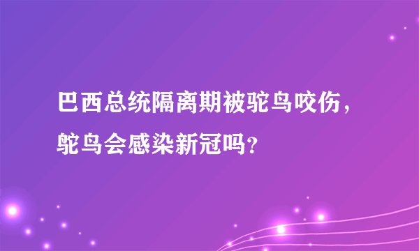 巴西总统隔离期被驼鸟咬伤，鸵鸟会感染新冠吗？