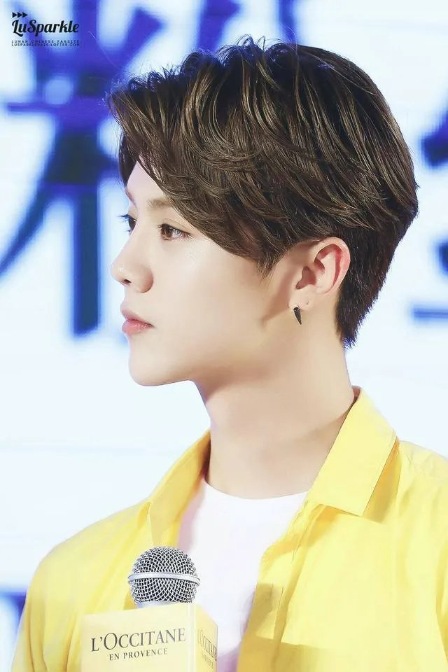 今年的春晚鹿晗、张艺兴的节目你更喜欢哪一个？